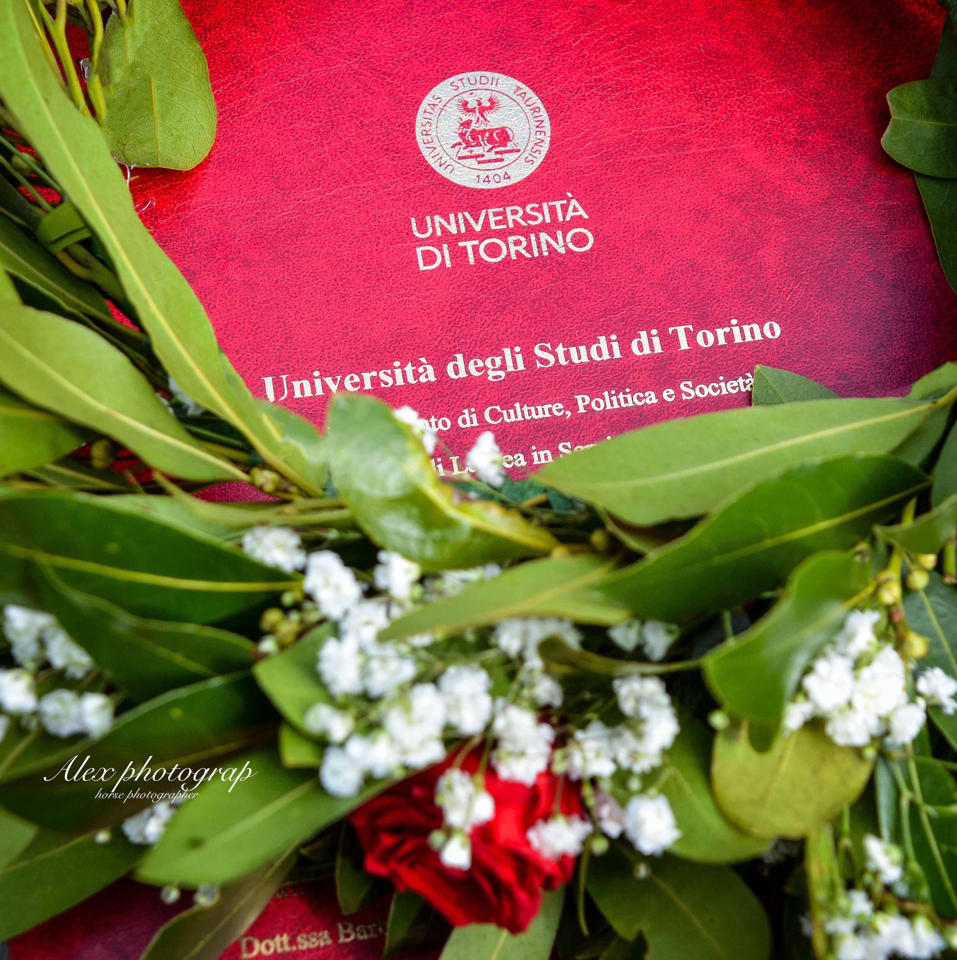 Laurea01